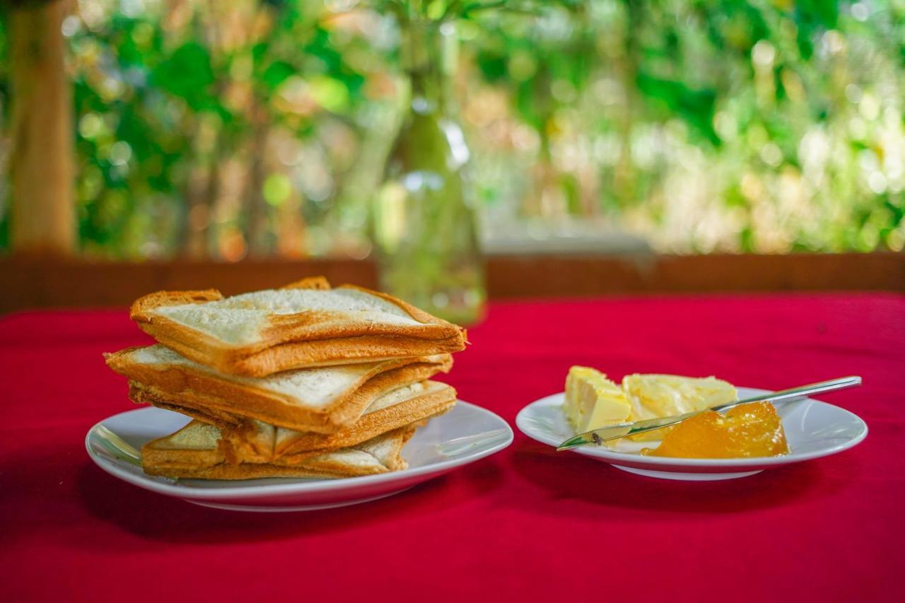 Dambulla Kings Inn Bagian luar foto